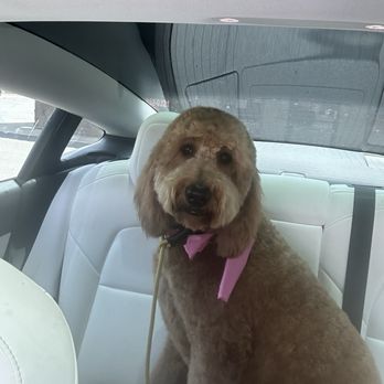 Posh Pet Cuts - Pet Groomers Near Me - Glendora, California Posh Pet Cuts - Pet Groomers Near Me - Glendora, California