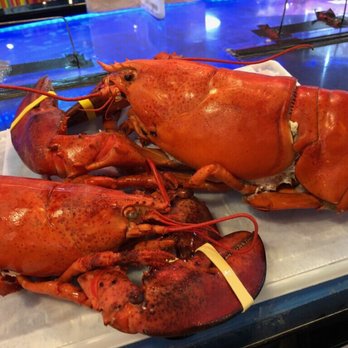Ardmore Seafood - Seafood Markets Near Me - Ardmore, Pennsylvania Ardmore Seafood - Seafood Markets Near Me - Ardmore, Pennsylvania