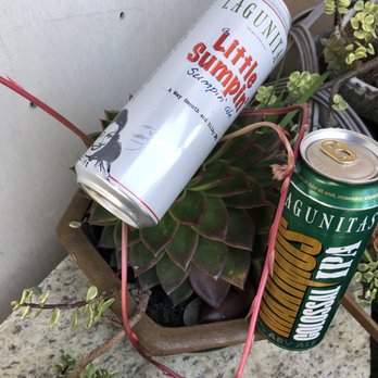 Albany Hill Mini Mart - Lagunitas brews hanging with cactus. - Convenience Stores Near Me - Albany, California