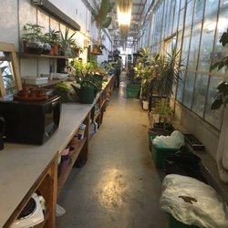 Concordia Greenhouse