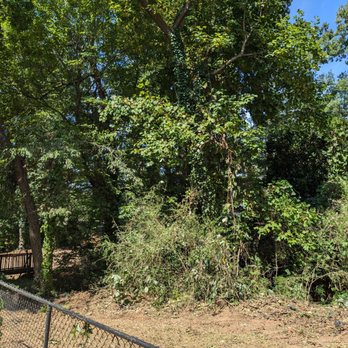 Andrade’s Tree and Stump Grinding - After picture - Tree Services Near Me - Tucker, Georgia Andrade’s Tree and Stump Grinding - After picture - Tree Services Near Me - Tucker, Georgia