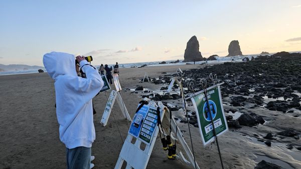 Haystack Rock by null