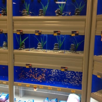 PetSmart Dog Training - New tanks - Pet Stores Near Me - Bakersfield, California PetSmart Dog Training - New tanks - Pet Stores Near Me - Bakersfield, California