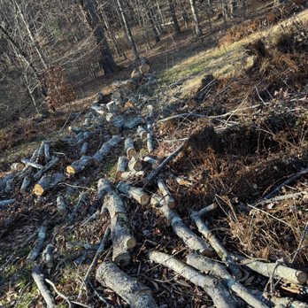 570 Lawn care - Tree cutting and splitting - Junk Removal & Hauling Near Me 570 Lawn care - Tree cutting and splitting - Junk Removal & Hauling Near Me
