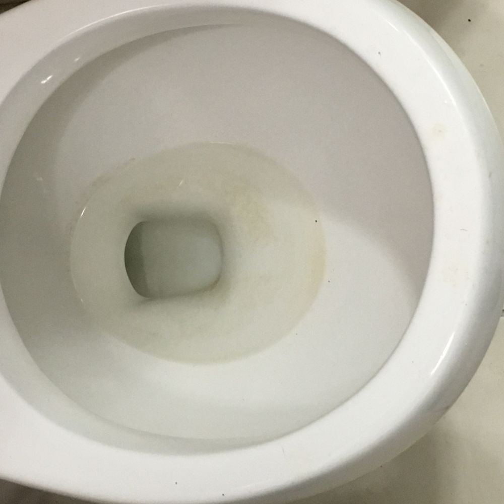 Stellar Management Company - How I found the toilet upon Move-In. - Property Management Near Me - New York, New York Stellar Management Company - How I found the toilet upon Move-In. - Property Management Near Me - New York, New York
