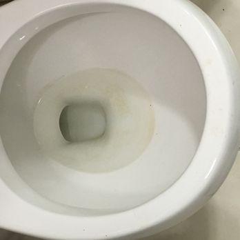 Stellar Management Company - How I found the toilet upon Move-In. - Property Management Near Me - New York, New York Stellar Management Company - How I found the toilet upon Move-In. - Property Management Near Me - New York, New York