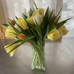 Beautiful tulips!