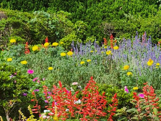 Nokonoshima Island by null