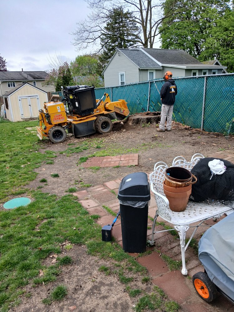 A Finer Grind Stump Removal - tree service in Albany, NY