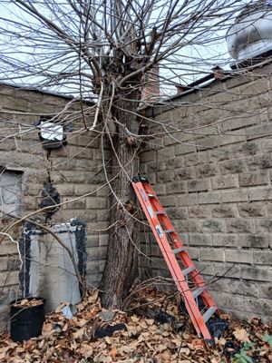 Tree Removal Services - Safe & Efficient Tree Removal Services – We Handle the Tough Jobs!
Is a dangerous or overgrown tree threatening your property? Don’t wait—let our expert team handle it safely and efficiently. We offer professional tree removal services for any size job, ensuring your property stays safe and beautiful. Tree Removal Services - Safe & Efficient Tree Removal Services – We Handle the Tough Jobs!
Is a dangerous or overgrown tree threatening your property? Don’t wait—let our expert team handle it safely and efficiently. We offer professional tree removal services for any size job, ensuring your property stays safe and beautiful.