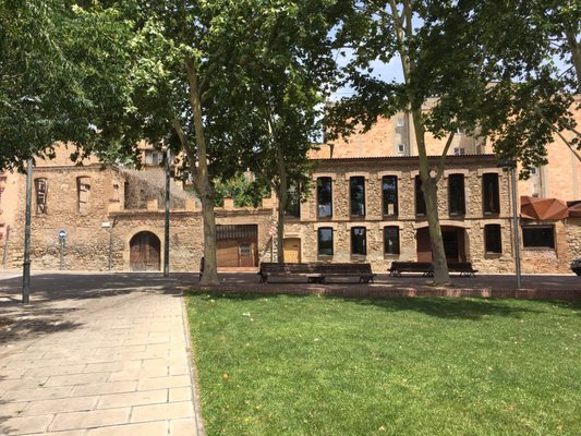 Somiatruites by null