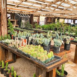 Desert Foothills Gardens Nursery
