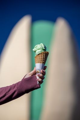 McGinn's PistachioLand by null