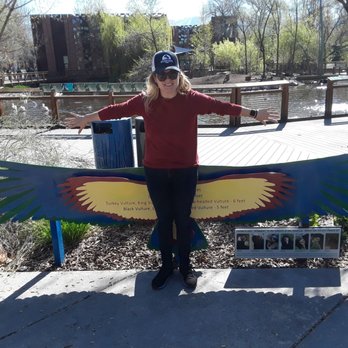 Tracy Aviary - Condor wingspan display - Zoos Near Me - Salt Lake City, Utah Tracy Aviary - Condor wingspan display - Zoos Near Me - Salt Lake City, Utah