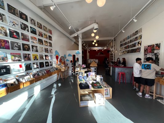 Spinster Records by null