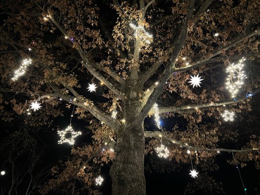 The Shire Woodstock by null