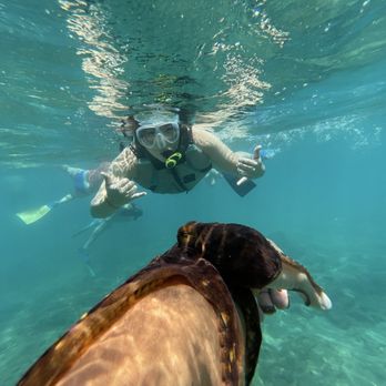 Zephyr Maui - Snorkeling - Snorkeling Near Me - Kihei, Hawaii