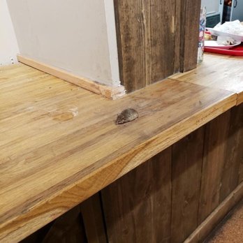 Redd's Biergarten - there's a mouse running around where the food pickup window is - German Near Me - Newark, New Jersey