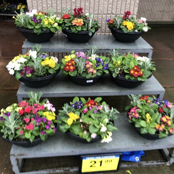 Fred Meyer - Flowers in Feb - Grocery Near Me - Redmond, Washington