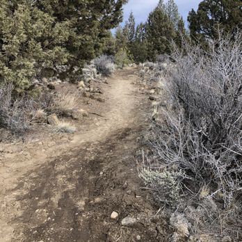 Hidden Forest Cave - Hidden Forest trail - Hiking Near Me Hidden Forest Cave - Hidden Forest trail - Hiking Near Me