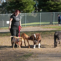 Josie's Pet Services - Josie and her pack