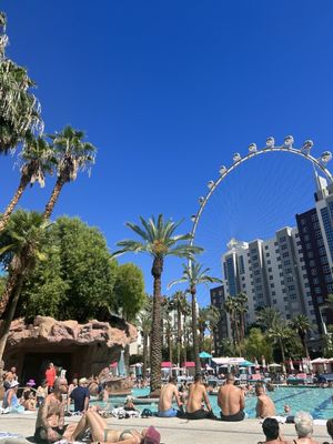 Flamingo Pool at Flamingo Las Vegas by null