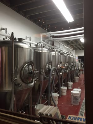 Hopping Gnome Brewing Company by null