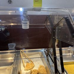 Chutneys Indian Vegeterian Cuisine - Inside