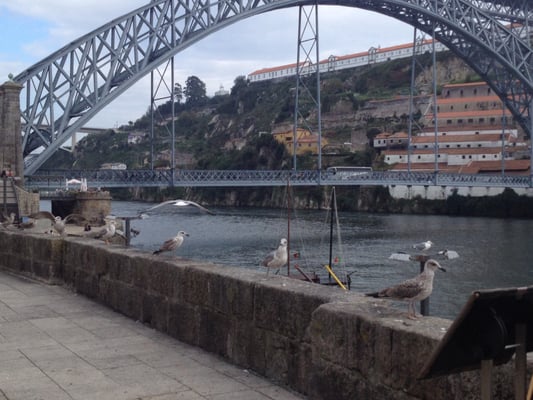 Luís I Bridge by null