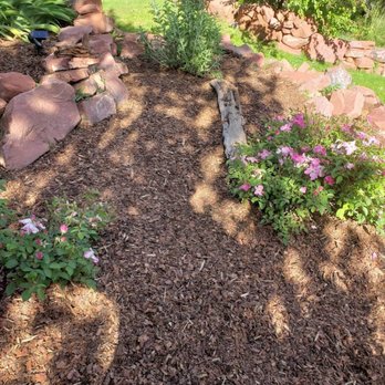 Blue Sky Garden & Lawn - a bird in a garden - Landscaping Near Me - Basalt, Colorado Blue Sky Garden & Lawn - a bird in a garden - Landscaping Near Me - Basalt, Colorado