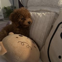 Before at 4 months Before at 4 months