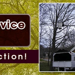 Cut One Tree Service