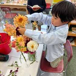 Christian Montessori School of Ann Arbor
