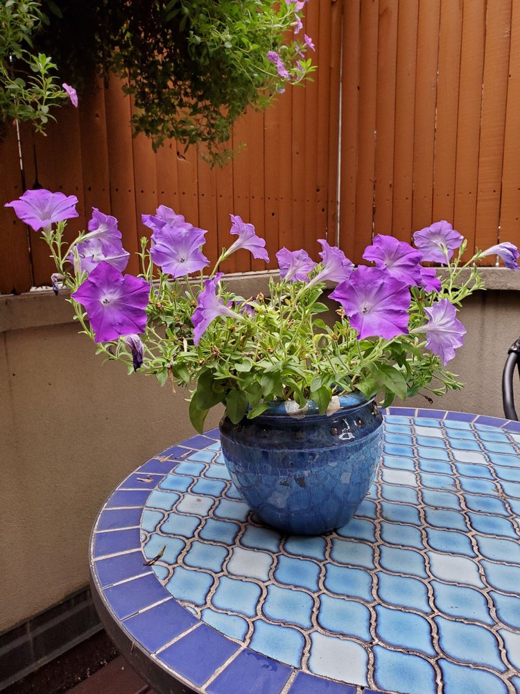 MÉLANGE SALON Updated August 2024 31 Photos & 40 Reviews 127 E 56th St, New York, New York