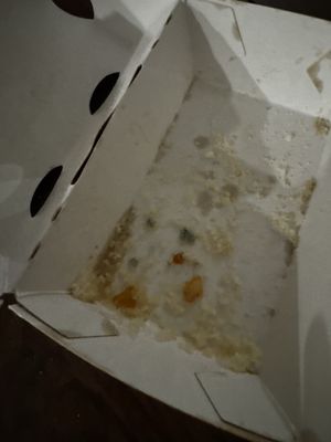 Shake Shack San Marcos by null