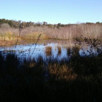 Spanish Pond - Spanish Pond - Hiking Near Me - Jacksonville, Florida Spanish Pond - Spanish Pond - Hiking Near Me - Jacksonville, Florida