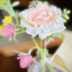 Beyond Cafe