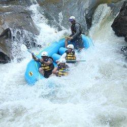 Wildwater - Chattooga