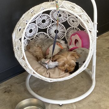 Beachy Waves Salon - Cutest salon mascot - Hair Stylists Near Me - Long Beach, California