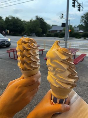 Mr Wizard's Frozen Custard and Yogurt by null