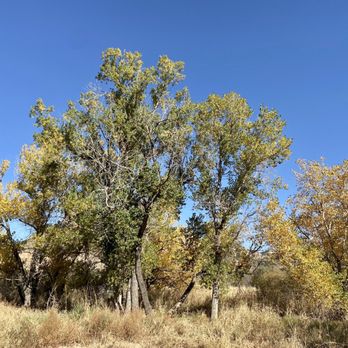 Palo Duro Canyon State Park - Parks Near Me - Canyon, Texas Palo Duro Canyon State Park - Parks Near Me - Canyon, Texas