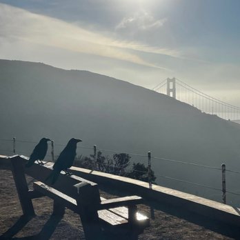 Hawk Hill - Hiking Near Me - San Francisco, California Hawk Hill - Hiking Near Me - San Francisco, California
