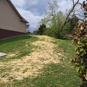 The Lawn Guy - Patchy lawn repair. - Lawn Services Near Me The Lawn Guy - Patchy lawn repair. - Lawn Services Near Me