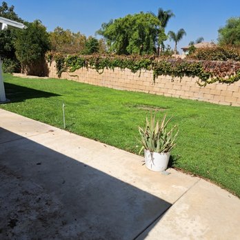 Mc Cactus Fast Landscaping Designs - a yard with a fenced in area - Landscaping Near Me Mc Cactus Fast Landscaping Designs - a yard with a fenced in area - Landscaping Near Me