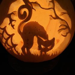 Pumpkins are amazing