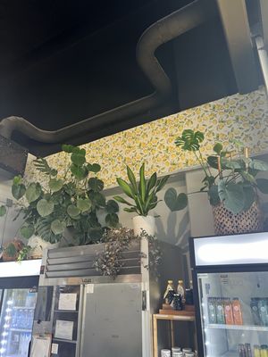 Vui’s Juice Cafe - Berry Hill by null