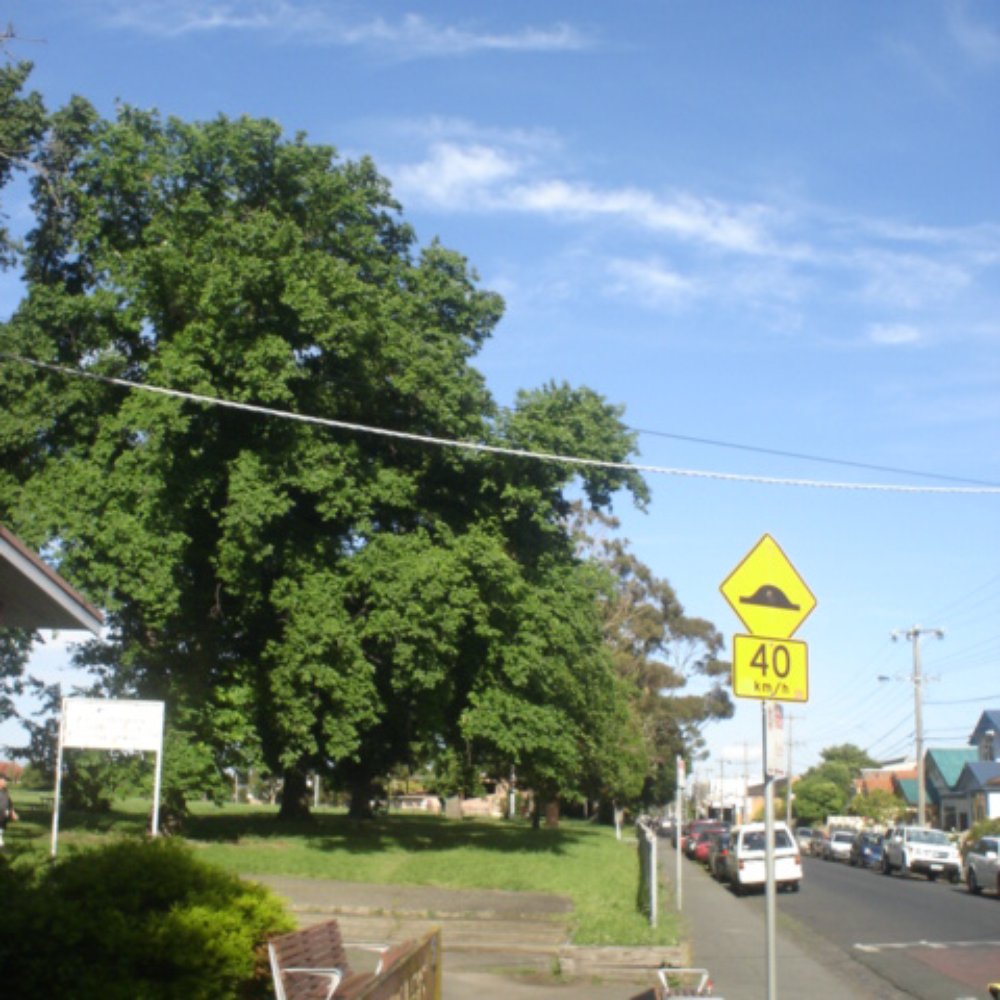 Fleming Park - Parks Near Me - Brunswick East, VIC