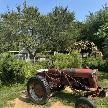Amber Waves - Farmers Market Near Me - Amagansett, New York Amber Waves - Farmers Market Near Me - Amagansett, New York