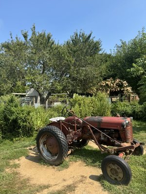 Amber Waves Farm, Market & Cafe by null