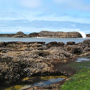 Seal Rock State Wayside - Rocks at low tide - Parks Near Me - Seal Rock, Oregon Seal Rock State Wayside - Rocks at low tide - Parks Near Me - Seal Rock, Oregon